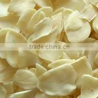 Dried Vegetable Flakes Garlic Flakes Dehydrated Garlic Powder thumbnail-3