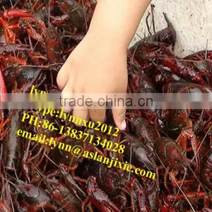 Industrial Shrimp Grade Sorter thumbnail-4