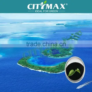 Fine Brown Seaweed Powder thumbnail-1