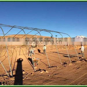 Solar Greenhouse Invernadero Ojival Economico thumbnail-6