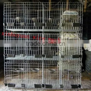 Welded Pigeon Cages thumbnail-1