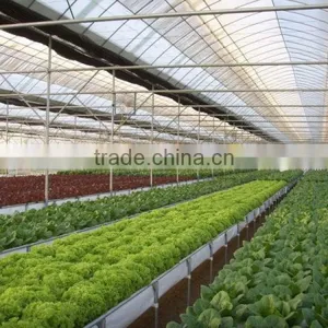 Commercial Greenhouses thumbnail-3