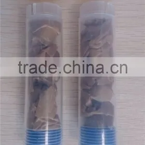 Distribution Pump Parts Bearing Roller thumbnail-2