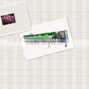 Potato Grading Machine thumbnail-1