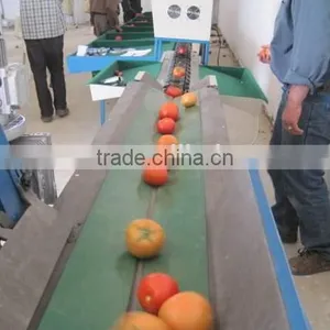 Tomato Grading Machine Sorter Grader thumbnail-1