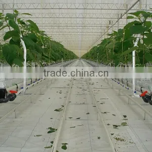Greenhouse thumbnail-3
