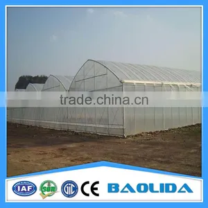 Used Commercial Greenhouses thumbnail-2
