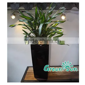 Large Ourdoor Plastic Planters With Self Watering System thumbnail-4