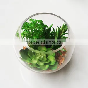 Wholesale Ornamental Plants Small Plastic Succulent Plant Bonsai thumbnail-1