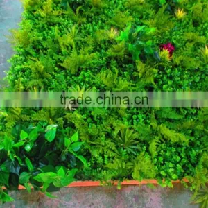 Hot Sale Artificial Green Plant Wall/artificial Green Backdrop for Sale thumbnail-1
