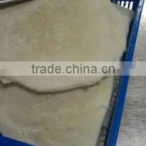 Frozen Skiness Giant Squid Fillet thumbnail-1