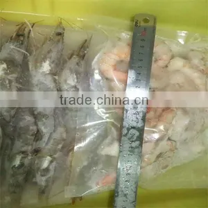 Fresh Live Raw Crab and Shrimp Shells thumbnail-1