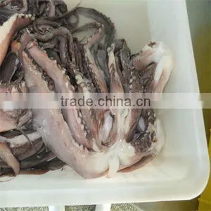Best Quality Fresh Squid/buy Seafood thumbnail-1