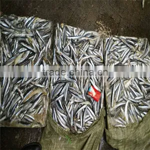 Hot Sales Land Frozen Anchovy for Bait thumbnail-3