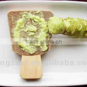 43g Japanese Horseradish Paste WASABI Condiment thumbnail-1