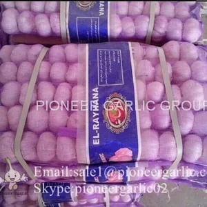 Small Packing 5.5-6cm Fresh Red Garlic Produced In Jinxiang Shandong China thumbnail-5