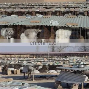 Soft and Smooth High Quality White Fox Fur Skin/white Fox Fur Raw Skins thumbnail-3