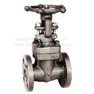 Forged Steel Gate Valve thumbnail-1