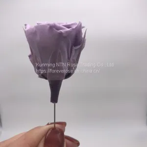 High Quality Timeless Preserved Flower Rose to Make Gorgeous Flower Gifts thumbnail-1