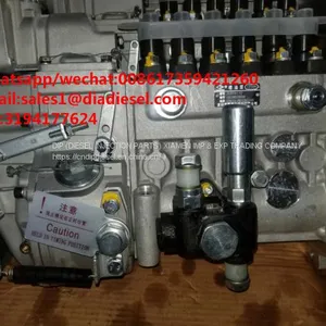High Quality Diesel LONGBENG Fuel Injection Pump BH6PA110 for Sale thumbnail-1