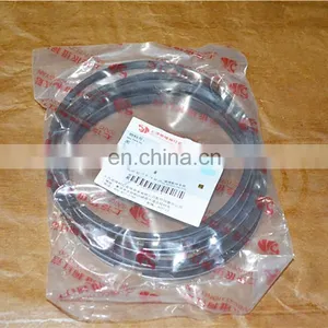 SAIC-IVECO GENELYON S00002021 SET OF PIST RINGS thumbnail-3