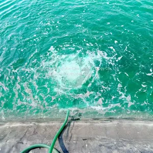 Turbo Blower ZCJSD for Shrimp Farm Aeration Aerator for CP Group Hatchery Farm thumbnail-5