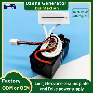 12V-100mg Ozone Generator 37*15mm Ozone Plate Air Purification and Disinfection thumbnail-1