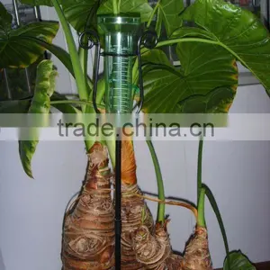 Garden Plastic Rain Gauge thumbnail-1