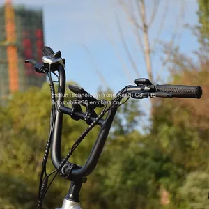 China Mid Drive Vintage Electric Bike for Sale/bicicleta Electrica Ebike /electric Bicycle From Factory thumbnail-4