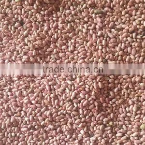 Crop 2015 Chinese Raw Peanut Inshell thumbnail-3