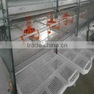 Huaxing New Design Automatic Broiler /dorking Chicken Cage thumbnail-4