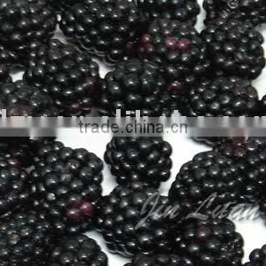 FORZEN BLACKBERRY thumbnail-1