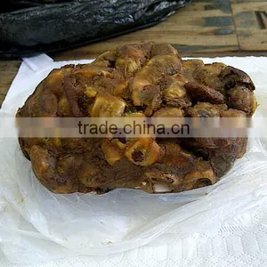 Tamarind thumbnail-1