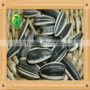 China, Hot Sale Raw Sunflower Seeds,2014 thumbnail-2
