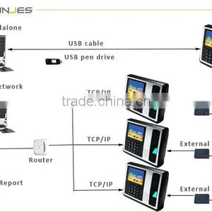 Robust Network Thumb Scanner Color Screen Time And Attendance Machine thumbnail-6