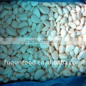 Frozen IQF Peeled Garlic thumbnail-1