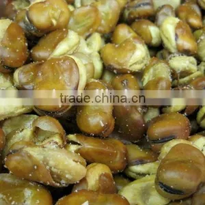 Salte Fava Beans thumbnail-1