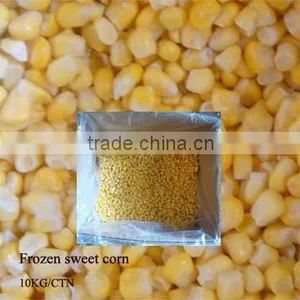IQF SWEET CORN thumbnail-1