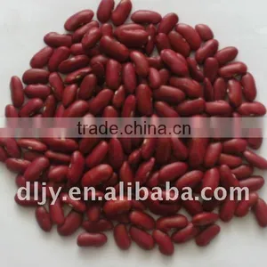British Red Kidney Beans Crop 2011 thumbnail-1
