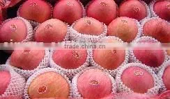 New Season Crop Fuji Apple thumbnail-1