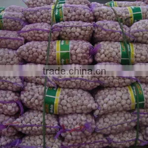 Gresh Garlic thumbnail-1
