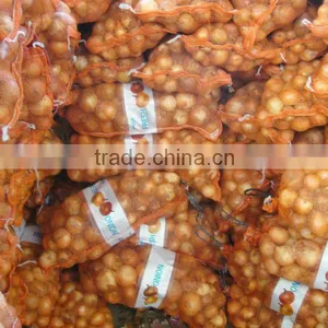 New Yellow Onion Purchase From Farmers thumbnail-1
