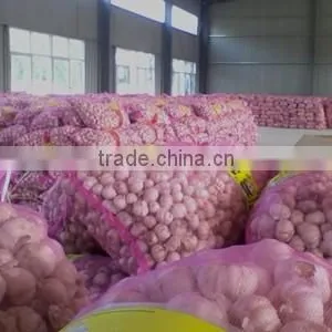 Laiwu 5.5 Natural White Fresh Garlic thumbnail-6