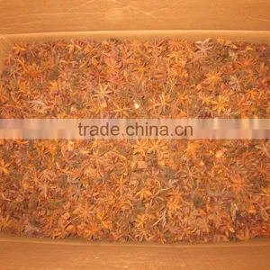 VIETNAM HIGH QUALITY STAR ANISE thumbnail-2