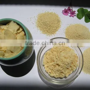 2013 New Crop Garlic Powder thumbnail-1
