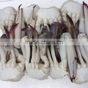New Frozen Blue Swimming Crab thumbnail-1