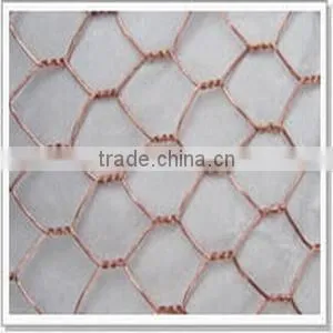 GI Chicken Wire Netting thumbnail-1