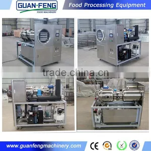 Quality Warranted Food Processing Machinery Fruit Lab Vacuum Freeze Dryer thumbnail-3