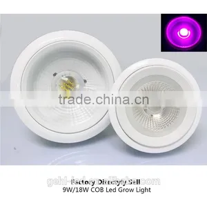 High Power Led Cob Grow Light 18w From Shenzhen Factory thumbnail-5