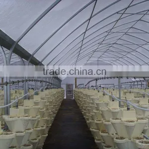 Greenhouse Farm thumbnail-1